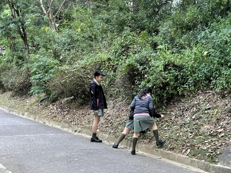 兩日一夜童軍暨幼童軍訓練營