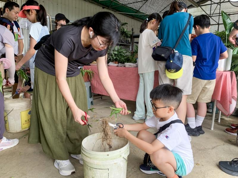 優質教育基金撥款計劃 (QEF) - 農耕烹飪親子日（DS高小學生）