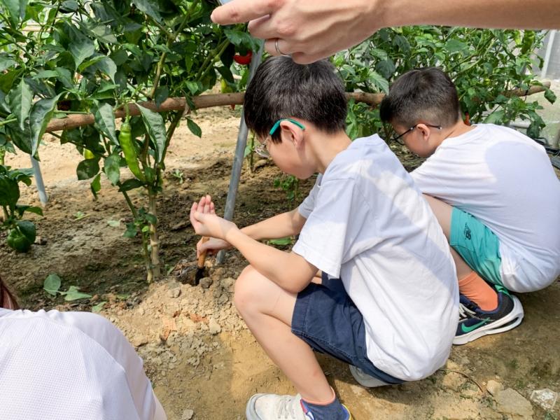 優質教育基金撥款計劃 (QEF) - 農耕烹飪親子日（DS高小學生）