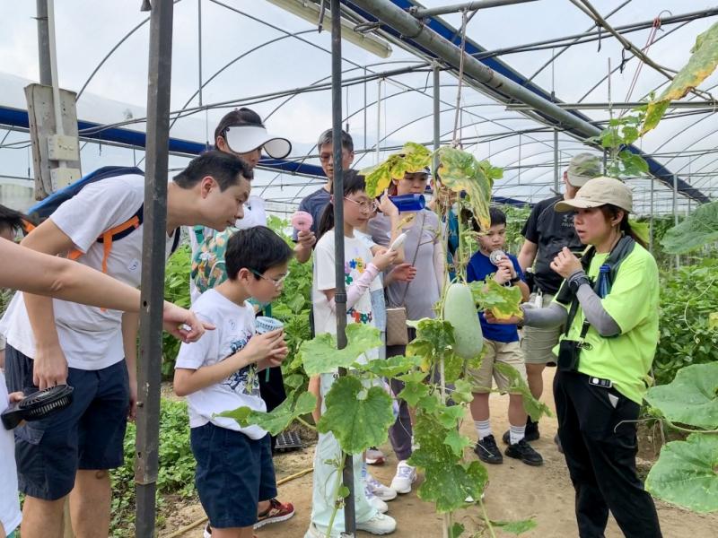 優質教育基金撥款計劃 (QEF) - 農耕烹飪親子日（DS高小學生）