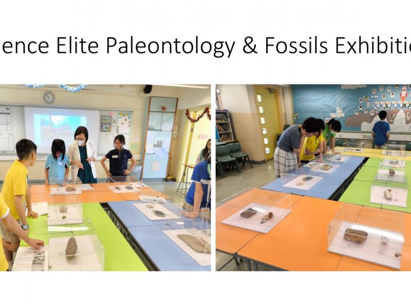 Science Elite: Paleontology & Fossils Exhibition