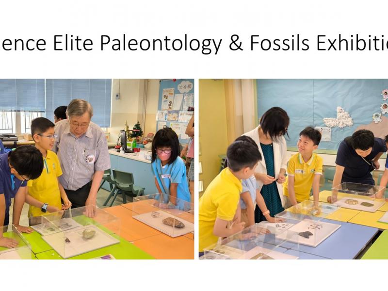 Science Elite: Paleontology & Fossils Exhibition