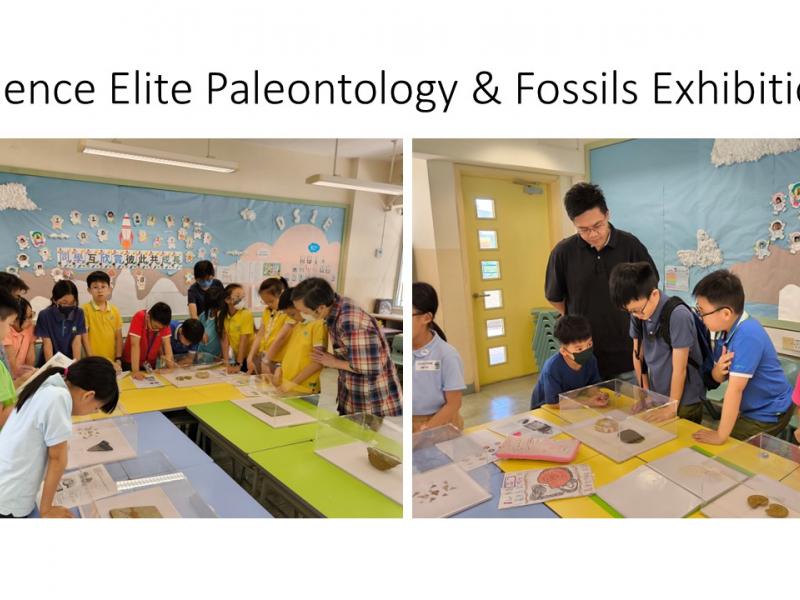 Science Elite: Paleontology & Fossils Exhibition