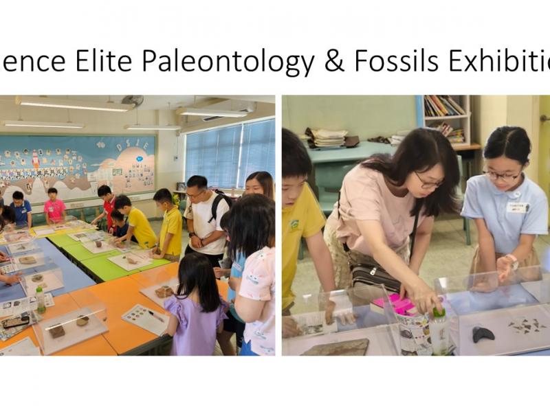 Science Elite: Paleontology & Fossils Exhibition