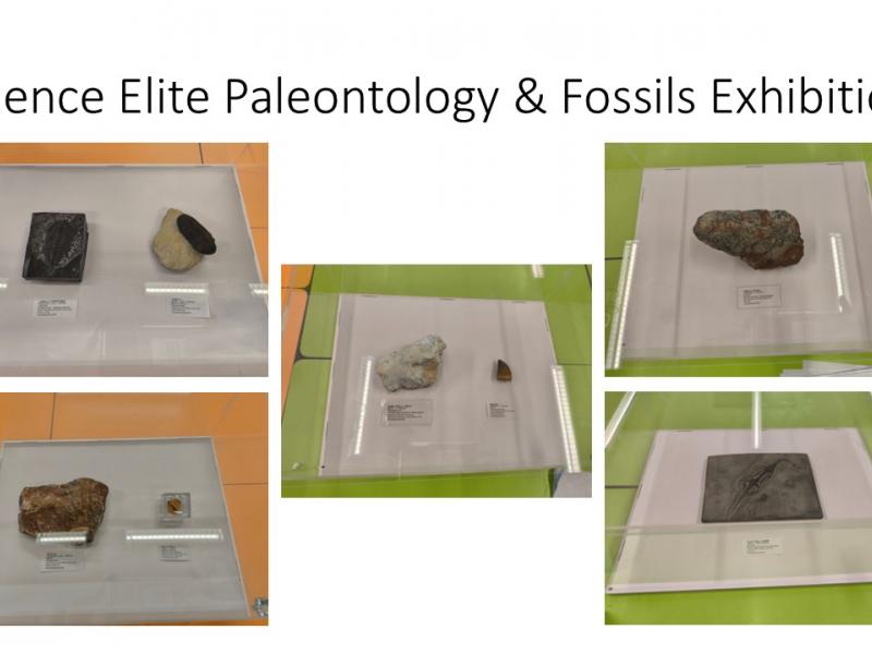 Science Elite: Paleontology & Fossils Exhibition